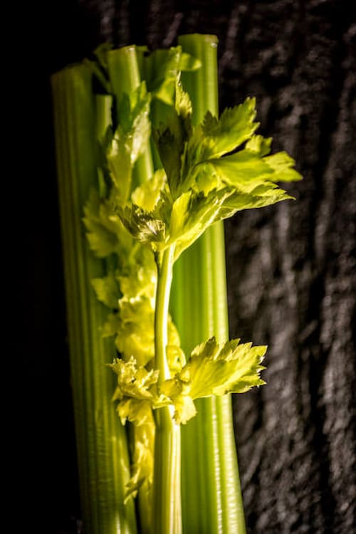 کرفس سبز با کیفیت بالا مناسب مصرف مداوم